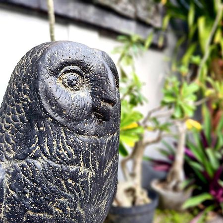 Bed and Breakfast Panda Lumbung Sanur Esterno foto