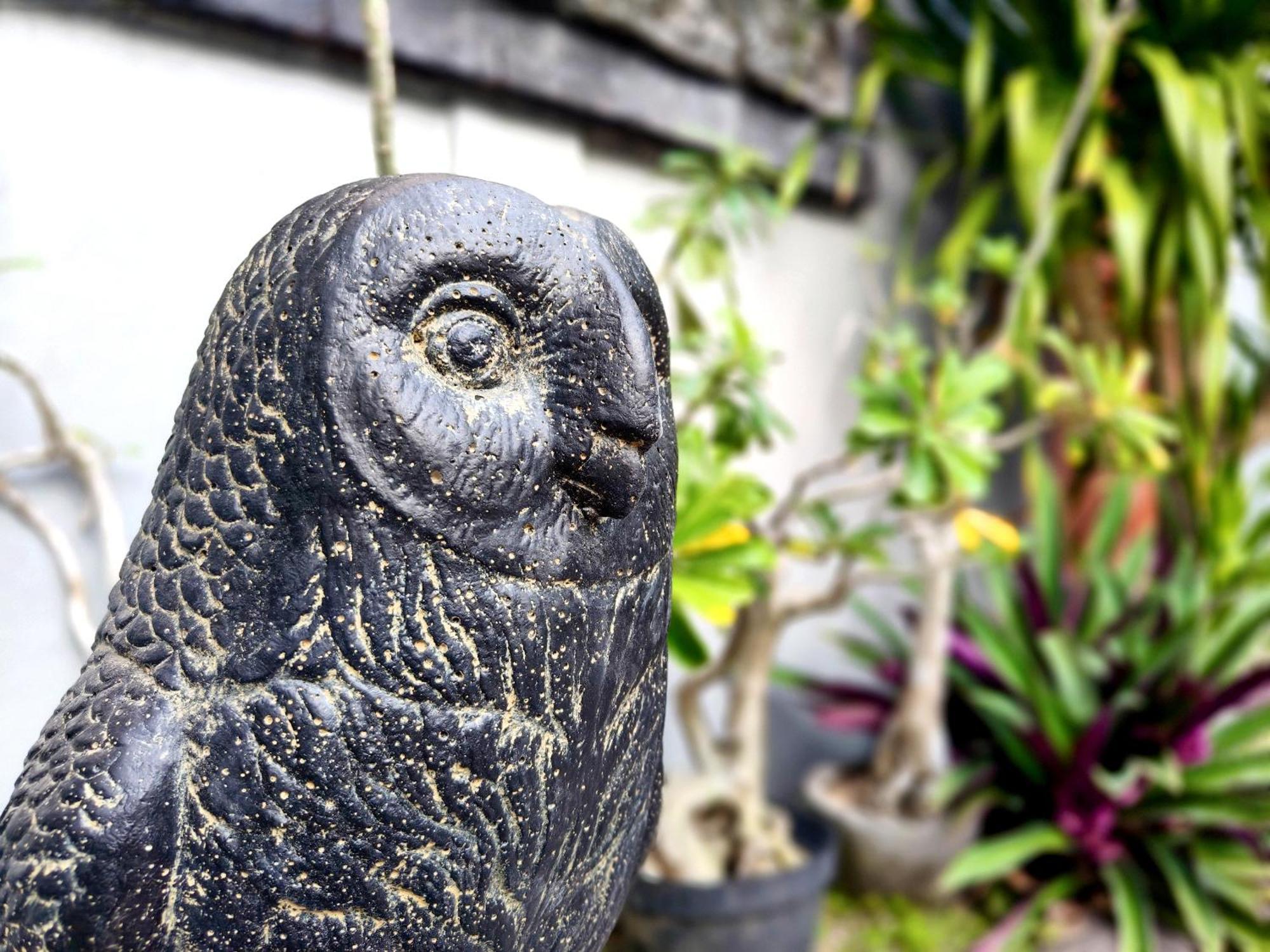 Bed and Breakfast Panda Lumbung Sanur Esterno foto