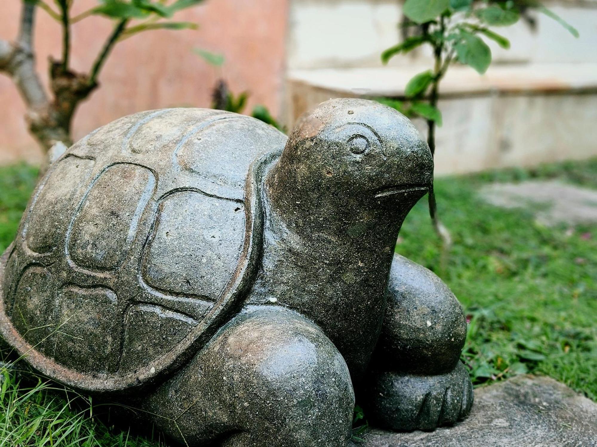 Bed and Breakfast Panda Lumbung Sanur Esterno foto